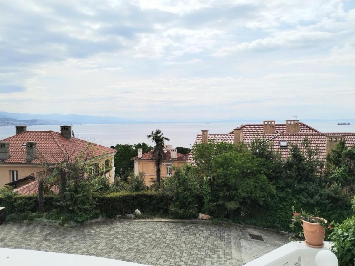 Apartment Darijana *